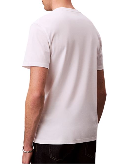 T-shirt cotone Pima Calvin Klein | LV04LB275GYAF
